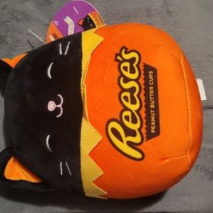 Brand new Colton Squishmallow